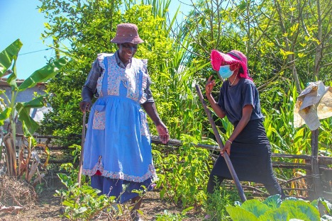 Highlighting Our Partners This Earth Day