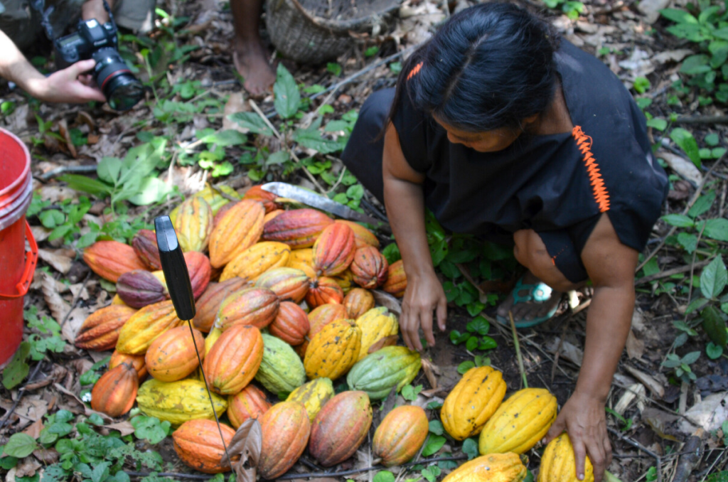Highlighting Our Partners This Earth Day